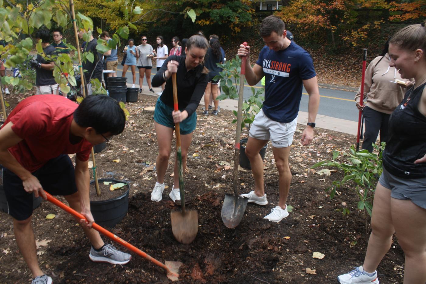 UVA Planting Day