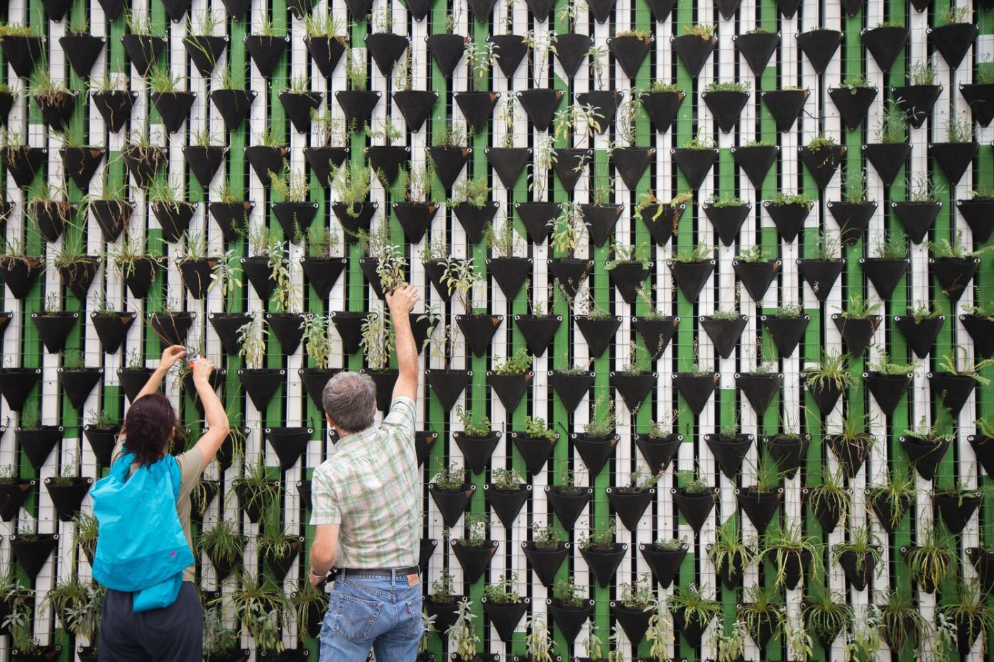JD BROWN CO-AUTHORS 'PLANNING FOR BIOPHILIC CITIES'