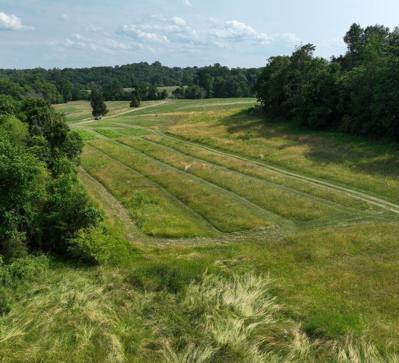 Luegering Morven Farm Test Plots NIL