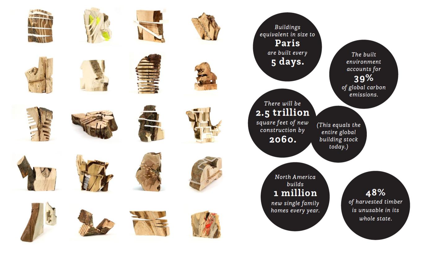 2024 Winner TimberPrize Schumann Project Images 3