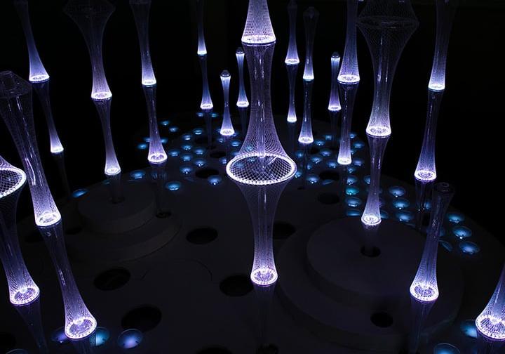 Networked Public Space Illuminated Installation Photo by Tom Daly