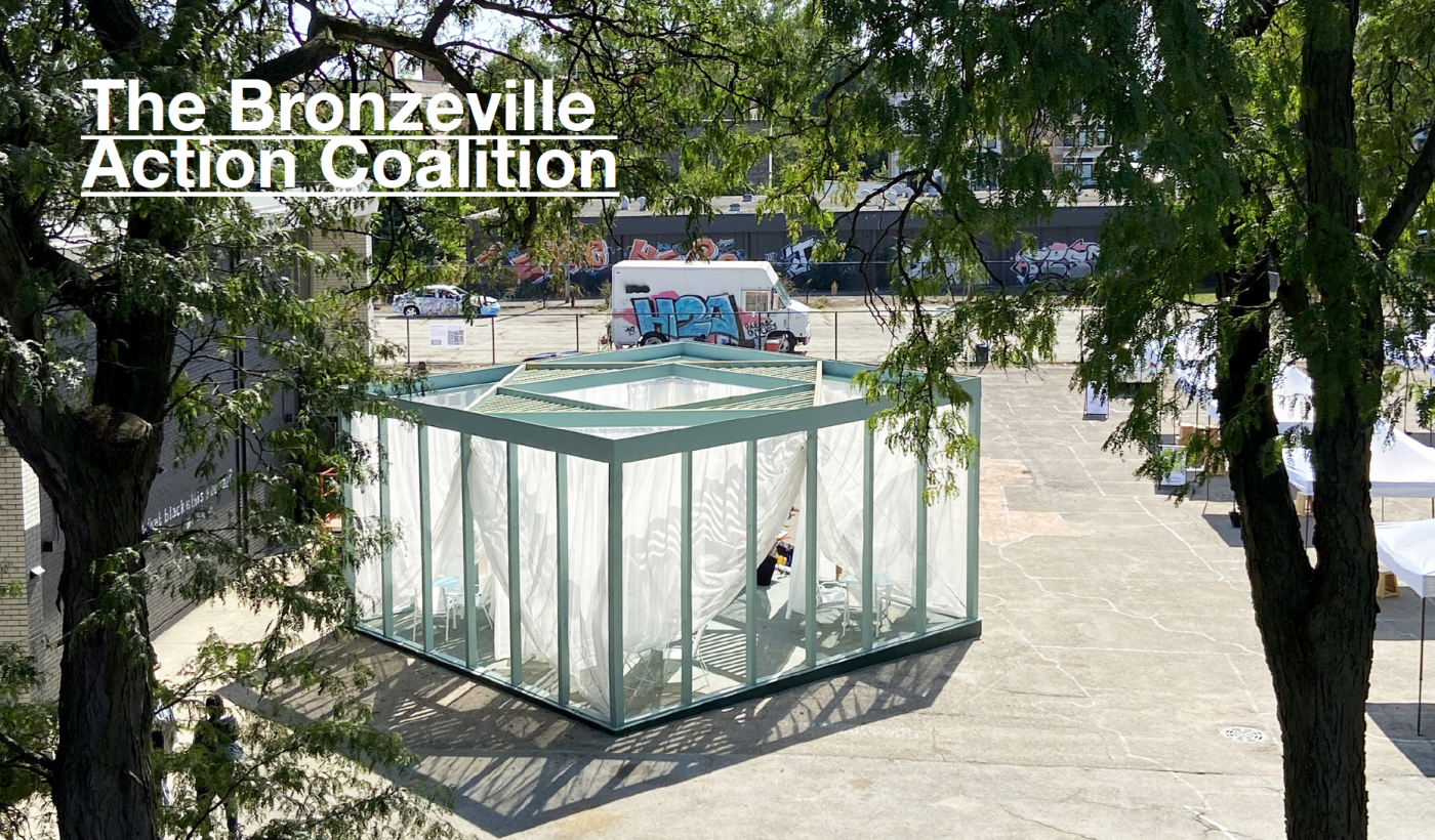 Bronzeville Action Coalition Public School Grounds Courtesy C Lopez