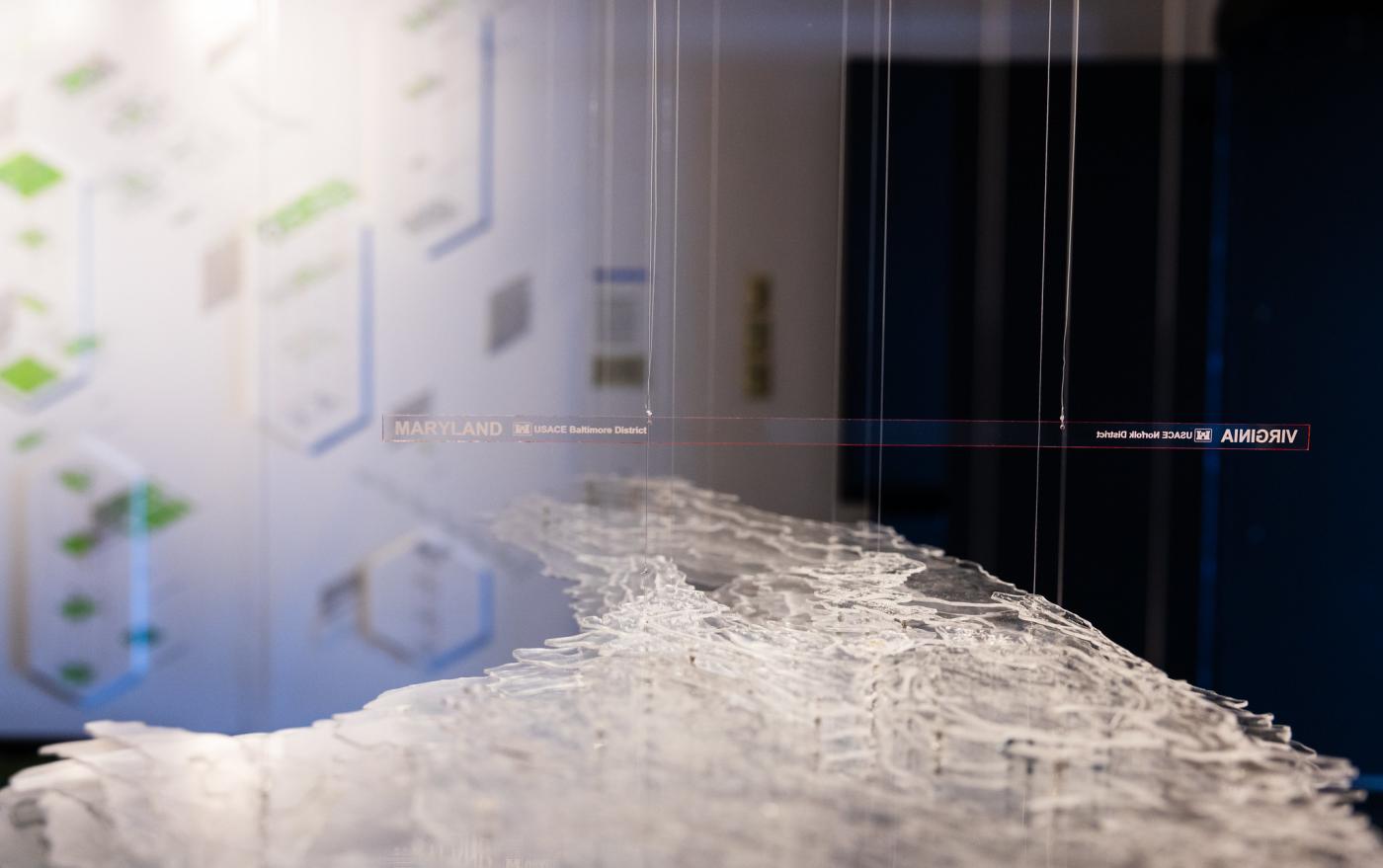 Tidal Territories_Vanecek 5_Photo by Tom Daly