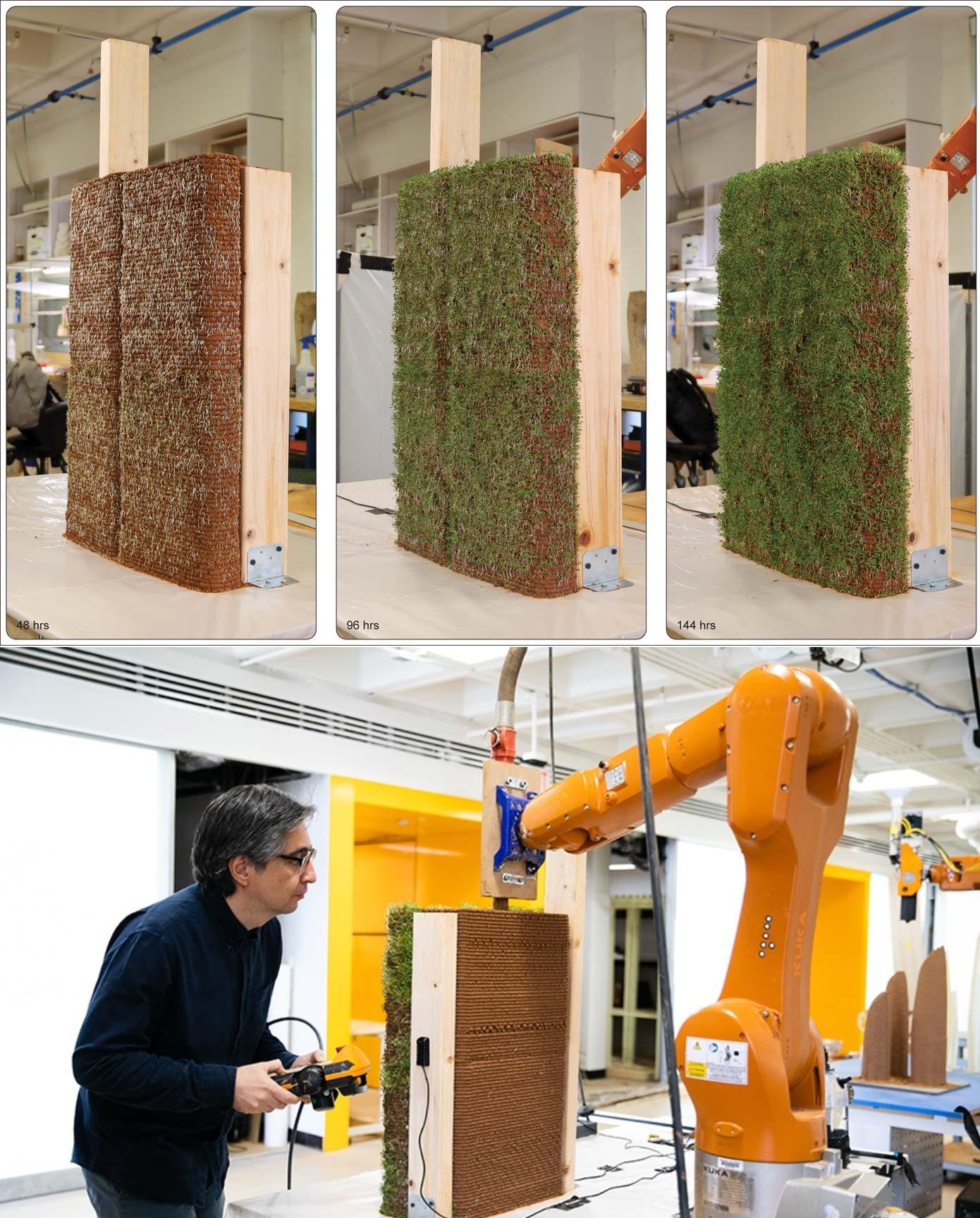 Ecological Active Structure - Baharlou Carr Ma - 2