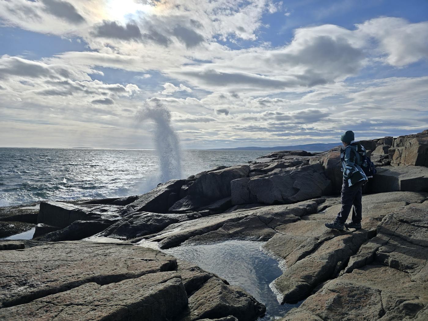 Adaptive Shelter Healing Landscape_Schoodic Point