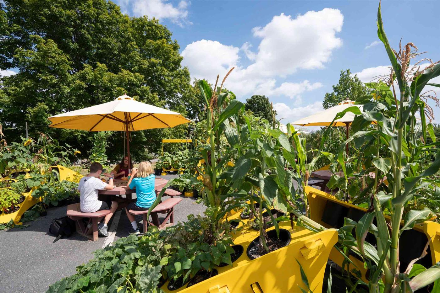 Keister Elementary Outdoor Classroom_James Barnes