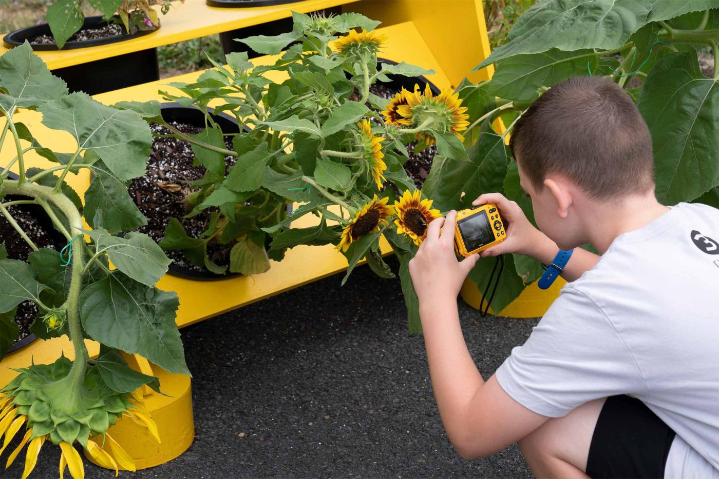 Keister Elementary Outdoor Classroom_James Barnes
