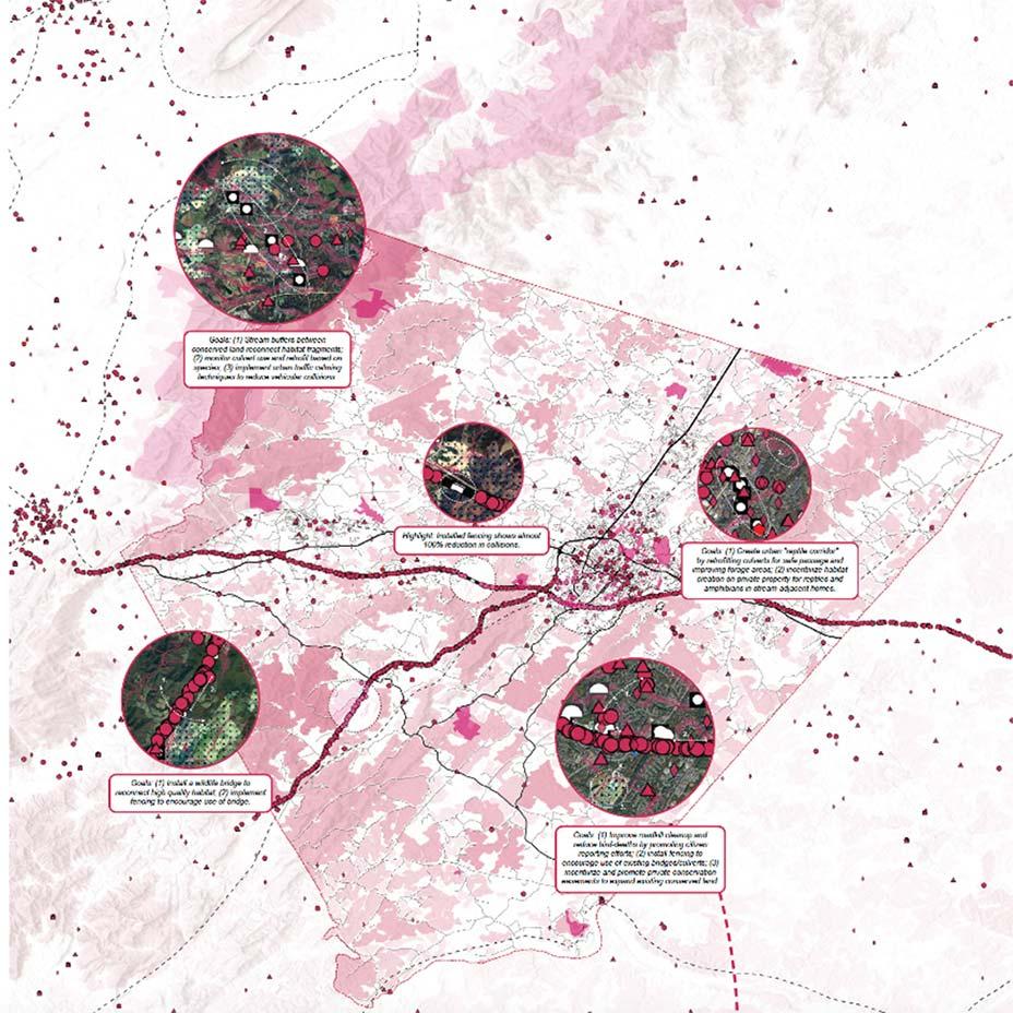 Mapping Safe Wildlife Passages by Vasudha Chakravarty Shiza Chaudhary Julia MacNelly