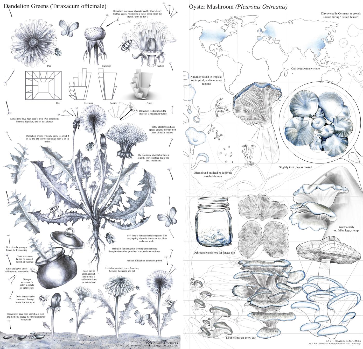 Arch 2010 Ex 1 Hybrid Drawing Composite
