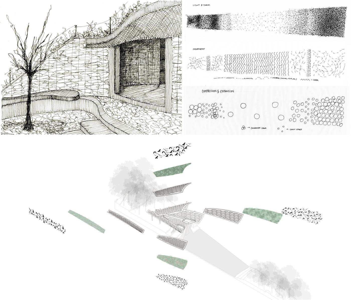 Arch 2010 Ex 2 Site Analysis and Pavilion Composite