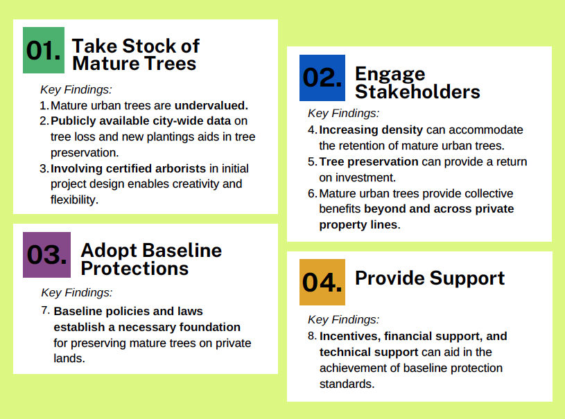 Biophilic Cities Policy Advisory 4-step diagram