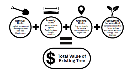 Biophilic Cities Policy Advisory Melbourne Diagram
