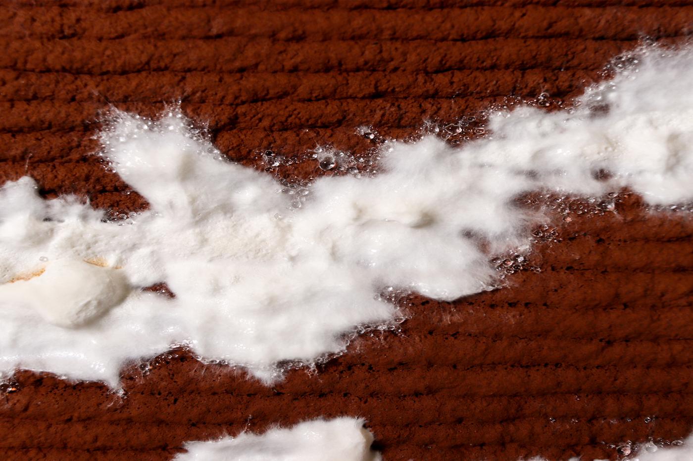 Mycelium hyphae and 3D-printed soil layers, showcased at ACSA conference.