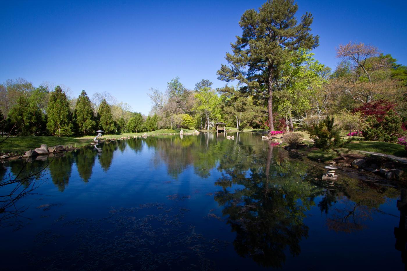 Pond in the Japanese Garden at Maymont, Richmond, Virginia by Rodney Martin