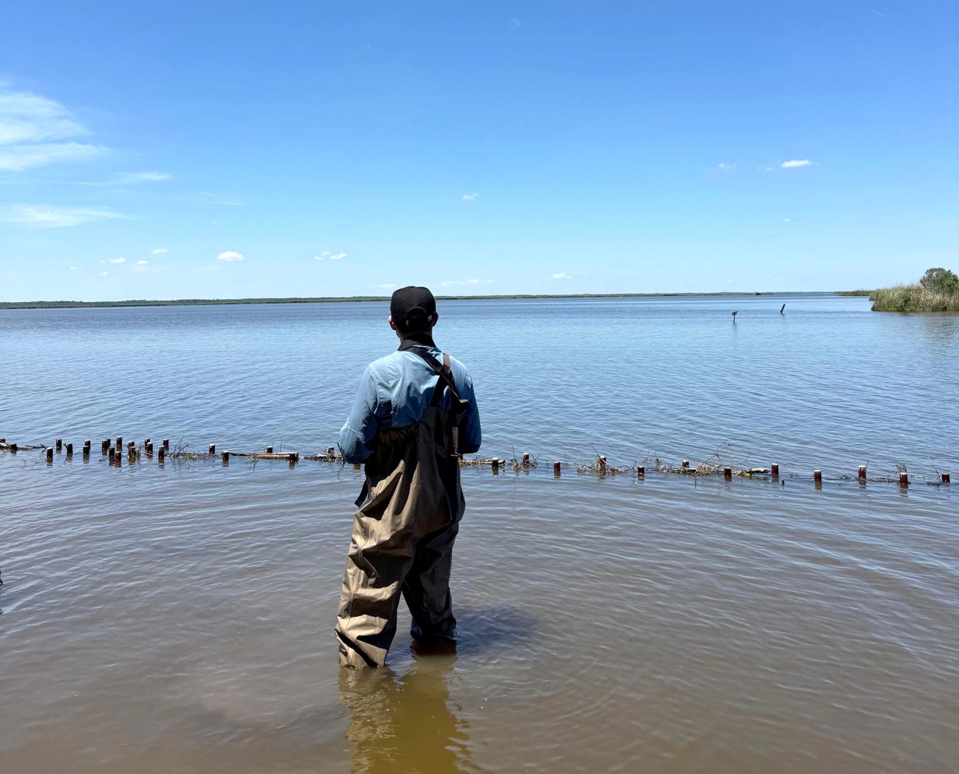 Student standing in water at Mackay Island Wildlife Refuge in North Carolina