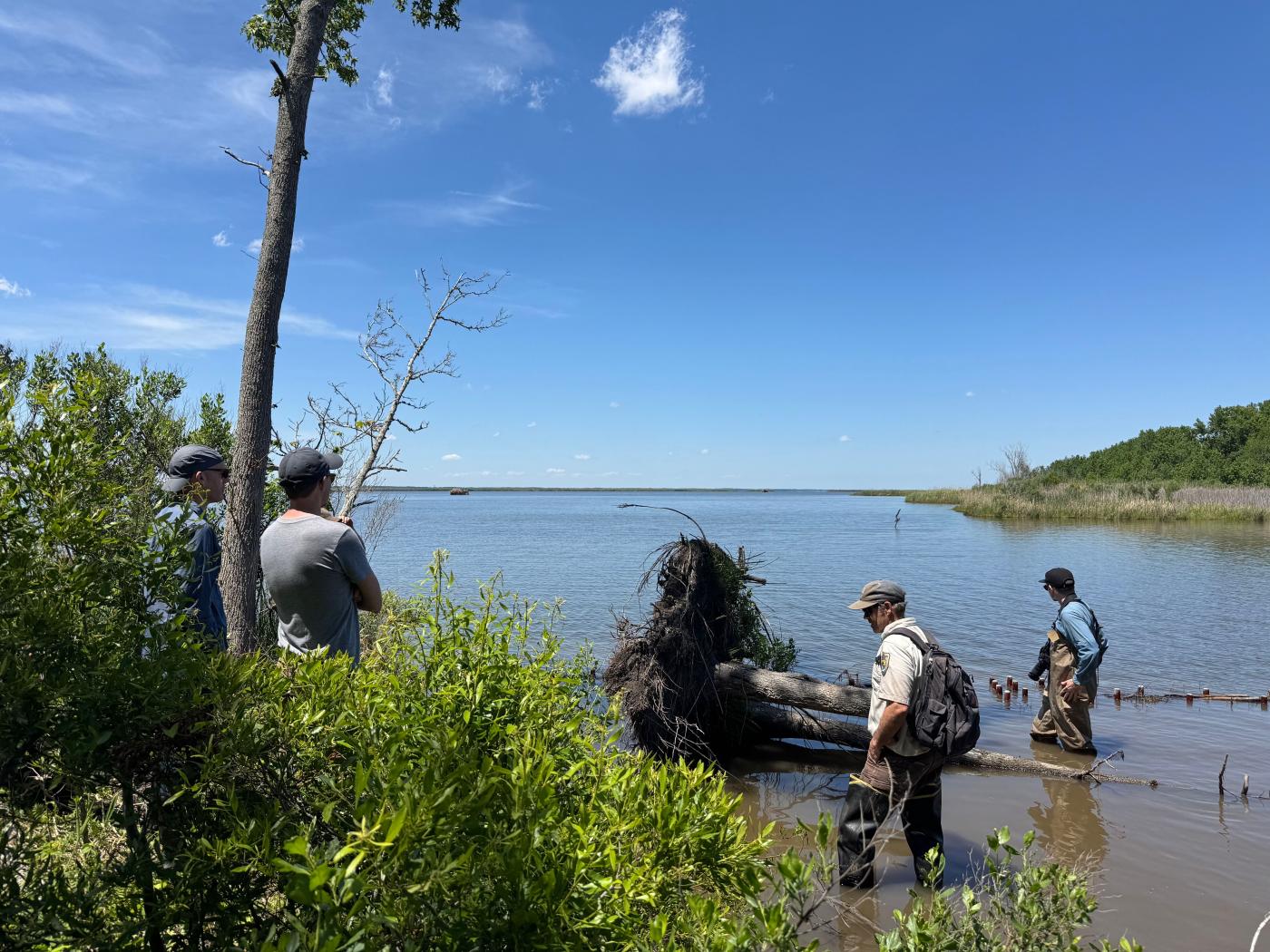 Three people in the water at site visit to the North Carolina Refuges