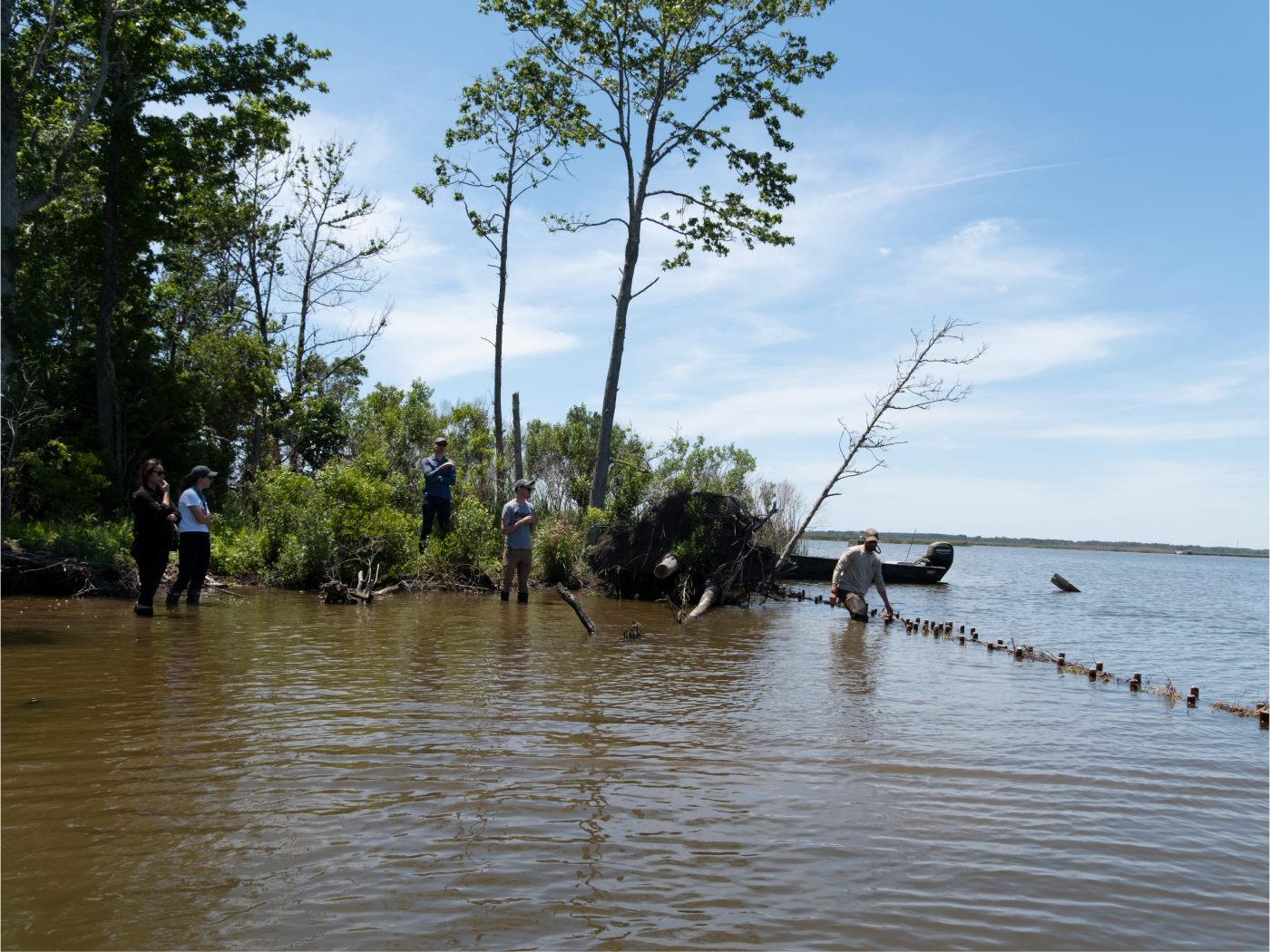 People standing in a coastal marsh.