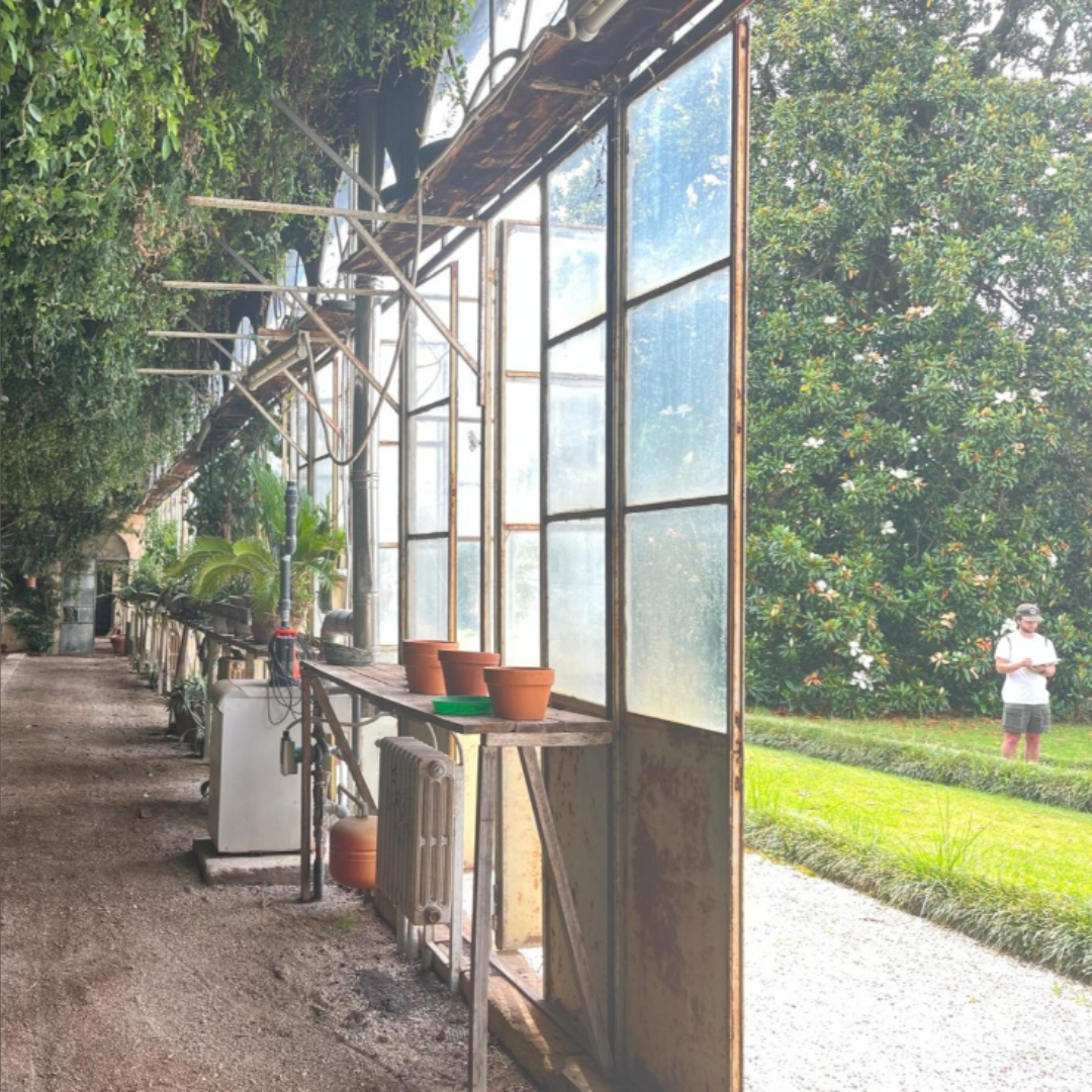 man sketching outside a greenhouse