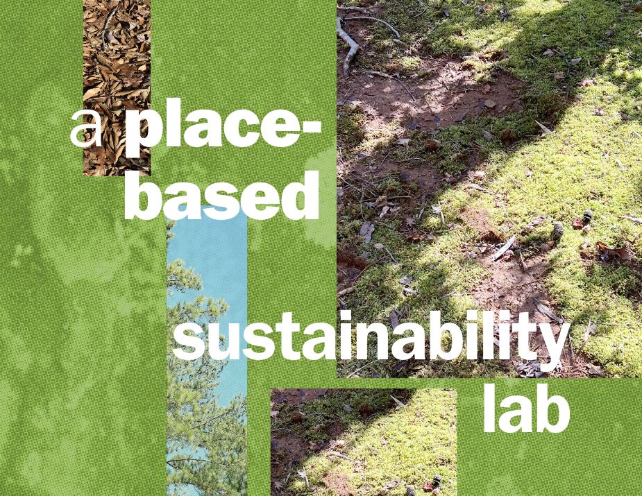 white text on collage of nature images and green shapes